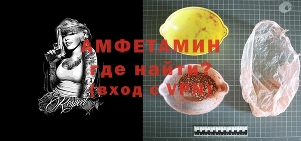 мдпв Бородино