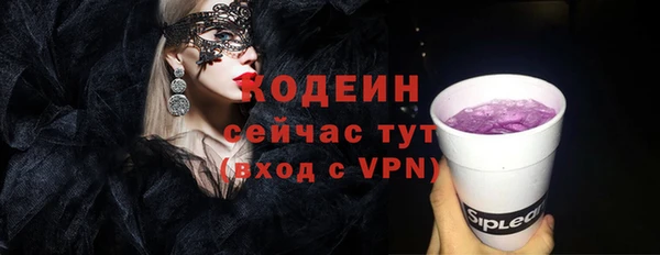 мдпв Бородино