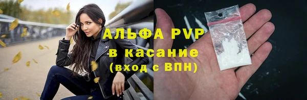 мдпв Бородино