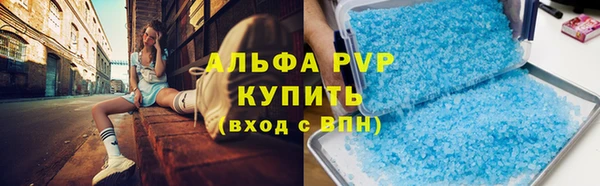 мдпв Бородино